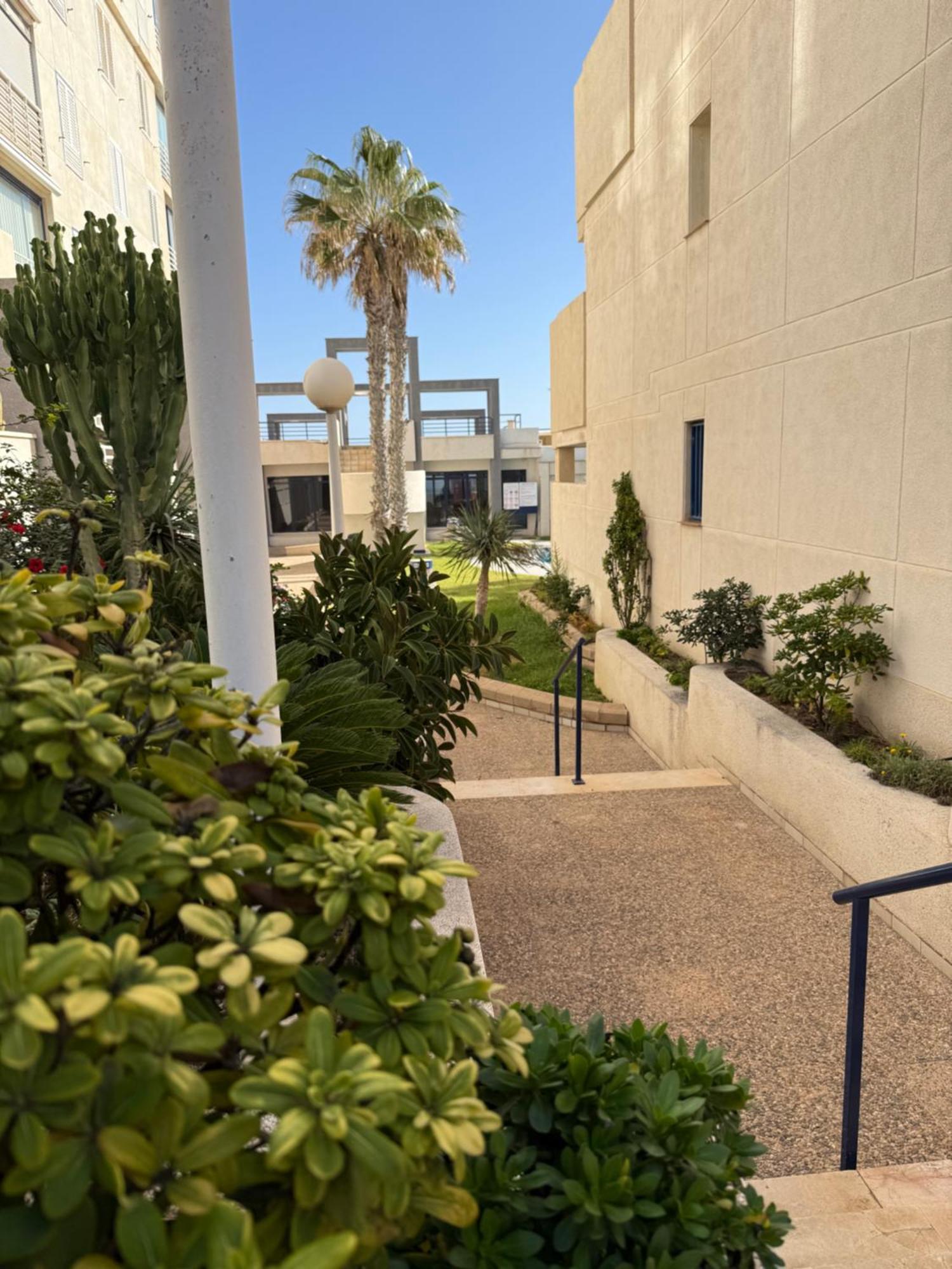 Torrevieja La Mata Primera Linea Playa المظهر الخارجي الصورة